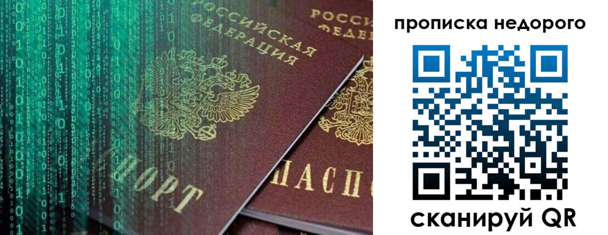 купить прописку в Чкаловске